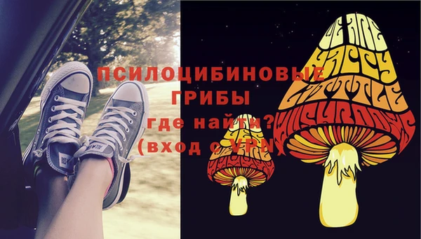 марки nbome Инта