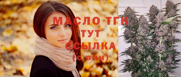 спиды Инсар