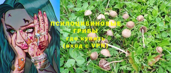 спиды Инсар